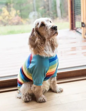 Dog Cotton Rainbow Boy Stripes Pajamas