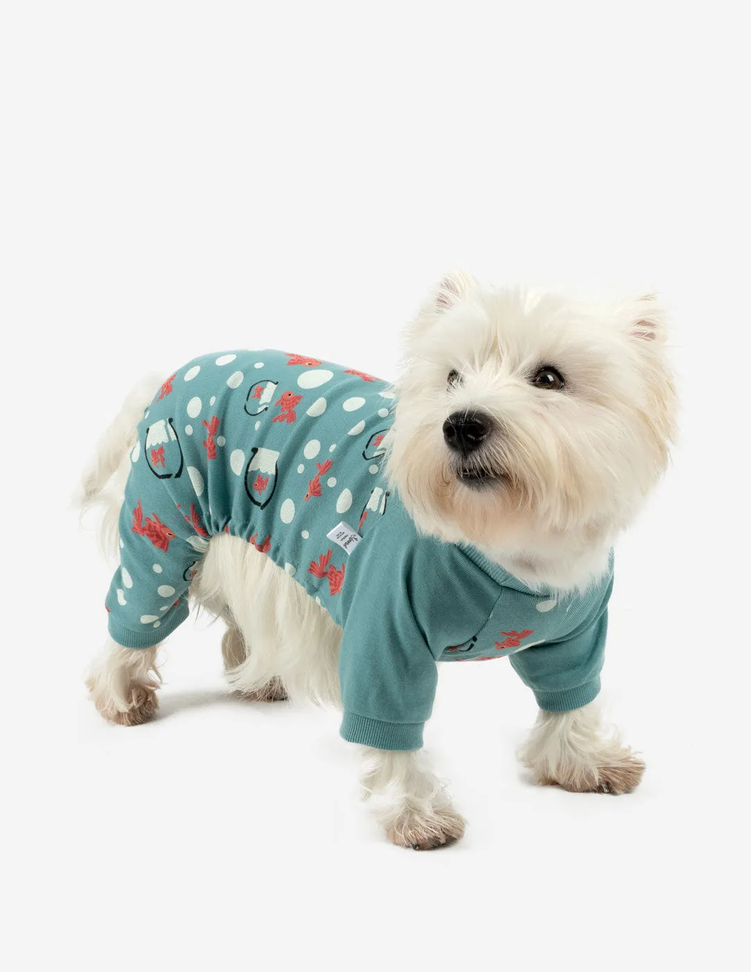 Dog Print Pajamas