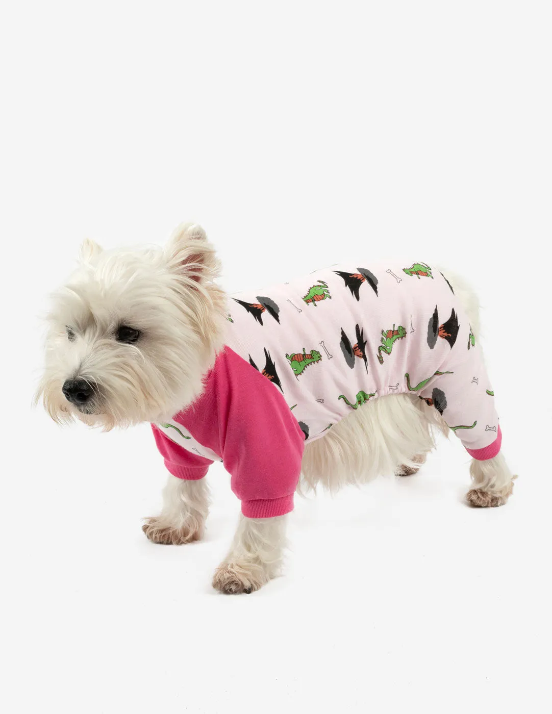 Dog Print Pajamas