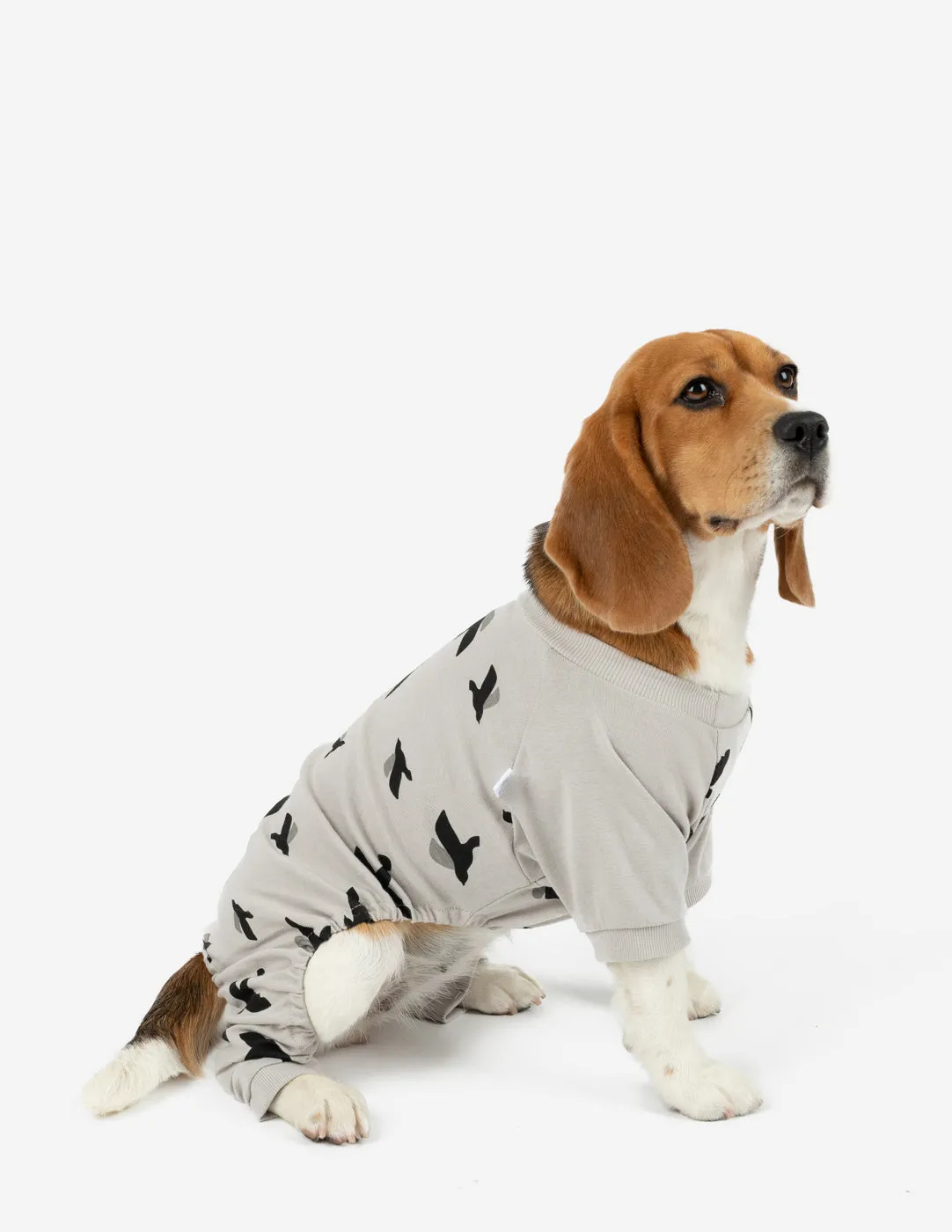 Dog Print Pajamas