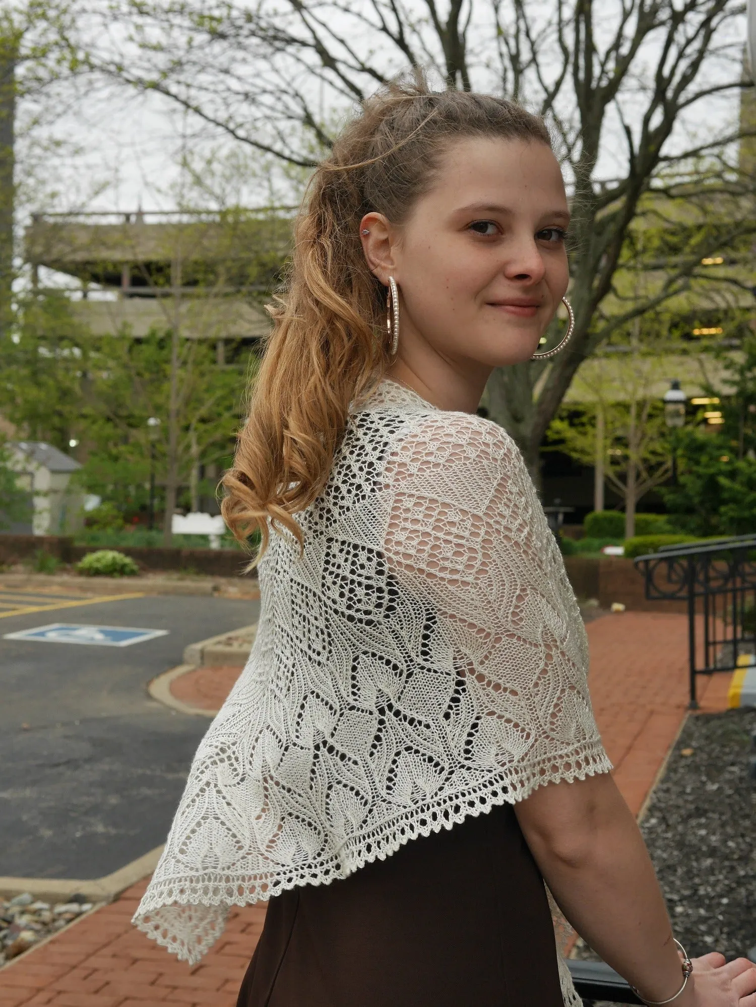 Harrier Lace Shawl <br/><small>knitting pattern</small>